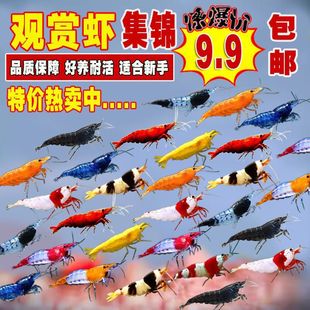 �����߲��^�p�r��ˮ�O���r�����r���ֻ��r�坍�rˮ���r�����r�ײ�