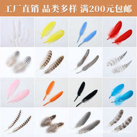 厂家直销彩色天然禽鸟羽毛100片装DIY手工饰品辅料捕梦网装饰羽毛