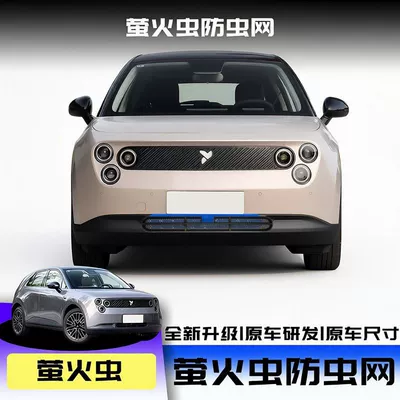 part air outlet protective – Automobile anti-insect net