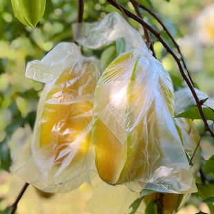 ����S���V�|������������r��������ЋDˮ���Fժ�F�l5������