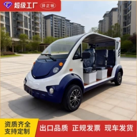 电动观光车;高尔夫球车;其他电动车