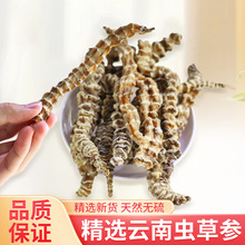 ���������x�݅���؛��ș�ĵ؅����x���񹝅����m���������Ҝ���