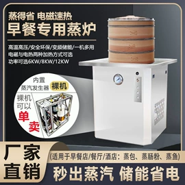 蒸汽发生器;电热锅炉;其它工业锅炉