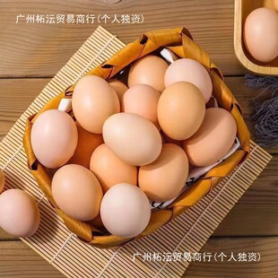 ö��ɢ�B���u��������u��ɭ���°��]���u��ȫ�����r�������r��40
