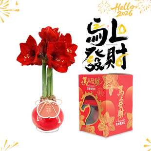 �����M�ڷN��Ϟ����피tϞ�����L28cm30cm�������ژ˶Y�жYƷ�Y��