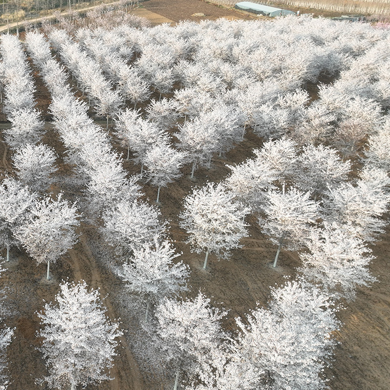 微信图片_20230818145933 副本.jpg