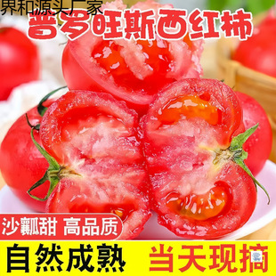 ���_��˹���t�����r�Fժ�����߲���Ȼ��ɳȿ��������ˮ��