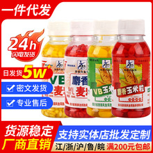 鱼饵VB玉米粒VB麦粒人工麝香麦粒100ml小瓶装钓鱼饵料挂钩