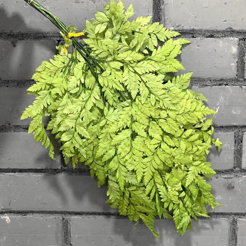 微信图片_20210308142037