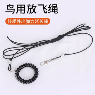 ���p�W�^�����K ����Ó �������Ӗ�����B���߻�Ƥĵ�����P���w�K