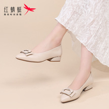 �t�����¿�2024�ļ���ƤţƤ�͸�һ�_��СƤЬ�����ļ�ͨ�چ�ЬŮ