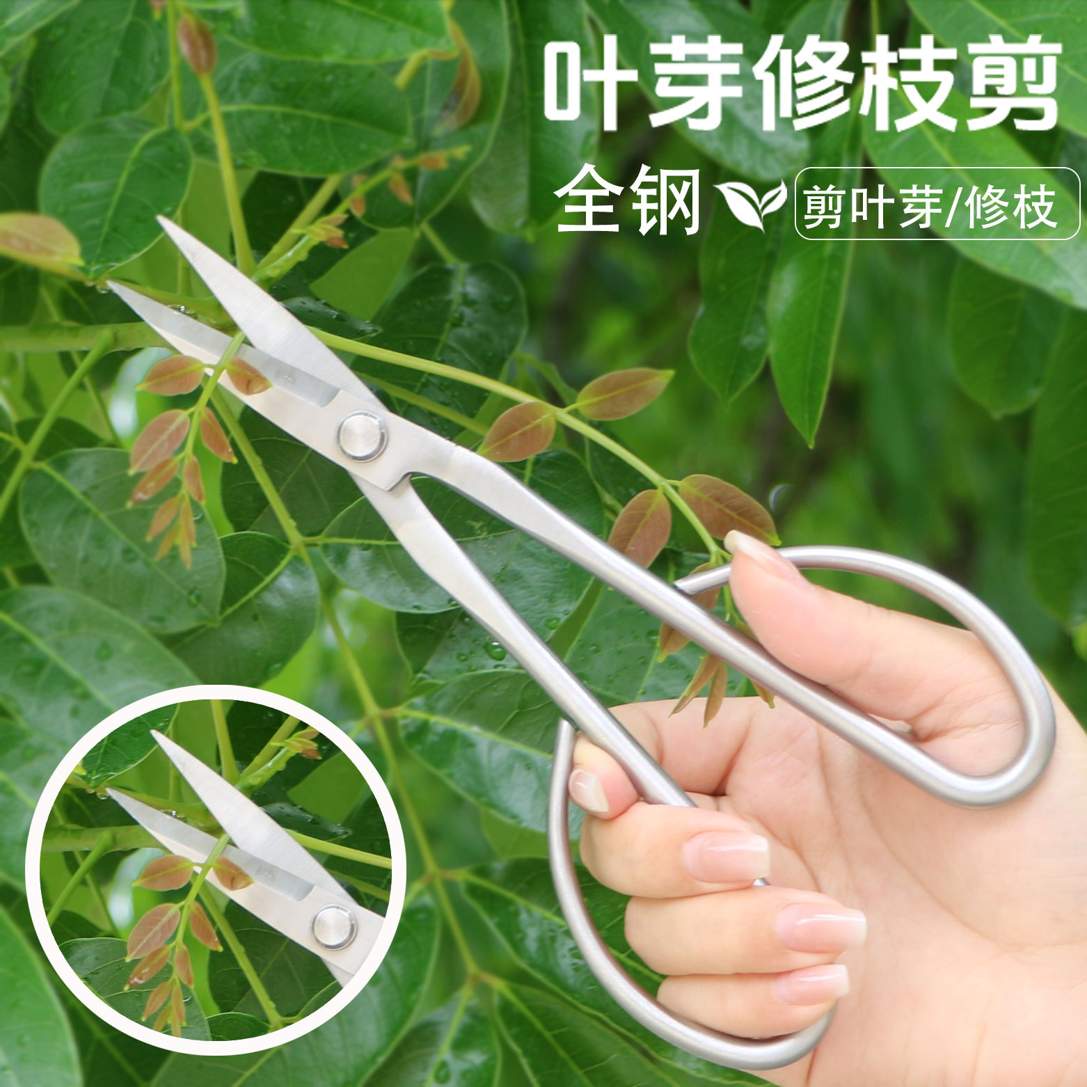 跨境加厚全不锈钢园艺剪叶芽剪嫩芽剪刀批发插花盆景修枝剪枝叶剪