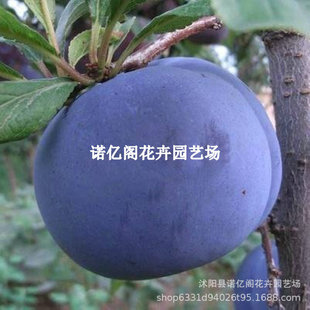 �޽����Ә��� �������� ���m���ͺ����� �ϱ����Nֲ�ش������