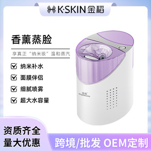 Golden Rice Hot Spray Facial Steamer Home Desktop Spray Beauty Device Facial Steamer Kd237