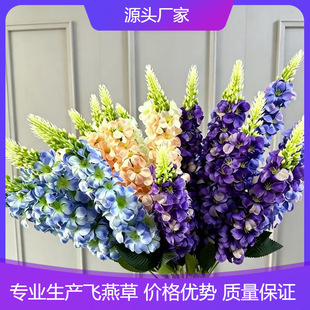 ���滨5���L���ӽ��~���w��ݻ�c�ٻ���Y�廨�Ҿ��b�ˇ����