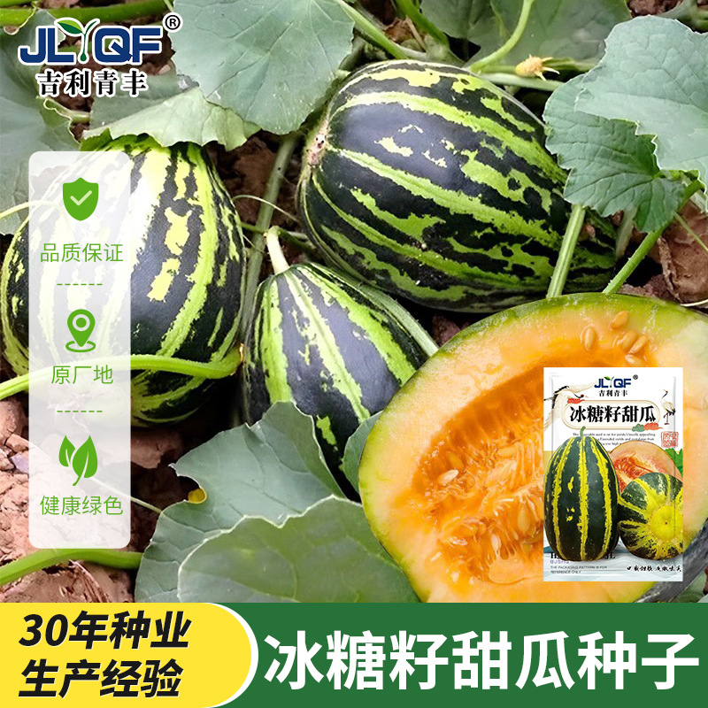 甜掉牙甜瓜种子薄皮超甜瓜花皮香瓜籽四季水果种孑冰糖子春夏秋季