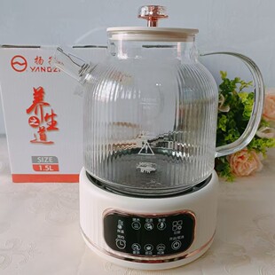 Yangzi Health Pot Small and Exquisite Multifunctional Small Split Tea Maker Water Kettle Office Gift Wholesale