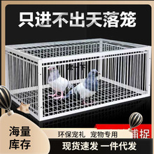 �B��׽ȫ�Ԅ���������\ײ�T�\��׽ץ�����Ӽ��ܿ�����ղ���