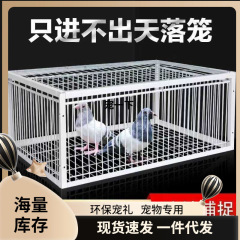 鸟捕捉全自动室外天落笼撞门笼捕捉抓收鸽子加密款户外收捕鸽