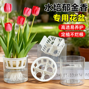 ������ˮ������ֲ�������N��Nֲˮ�ɻ����û����L����͸��ˮ����