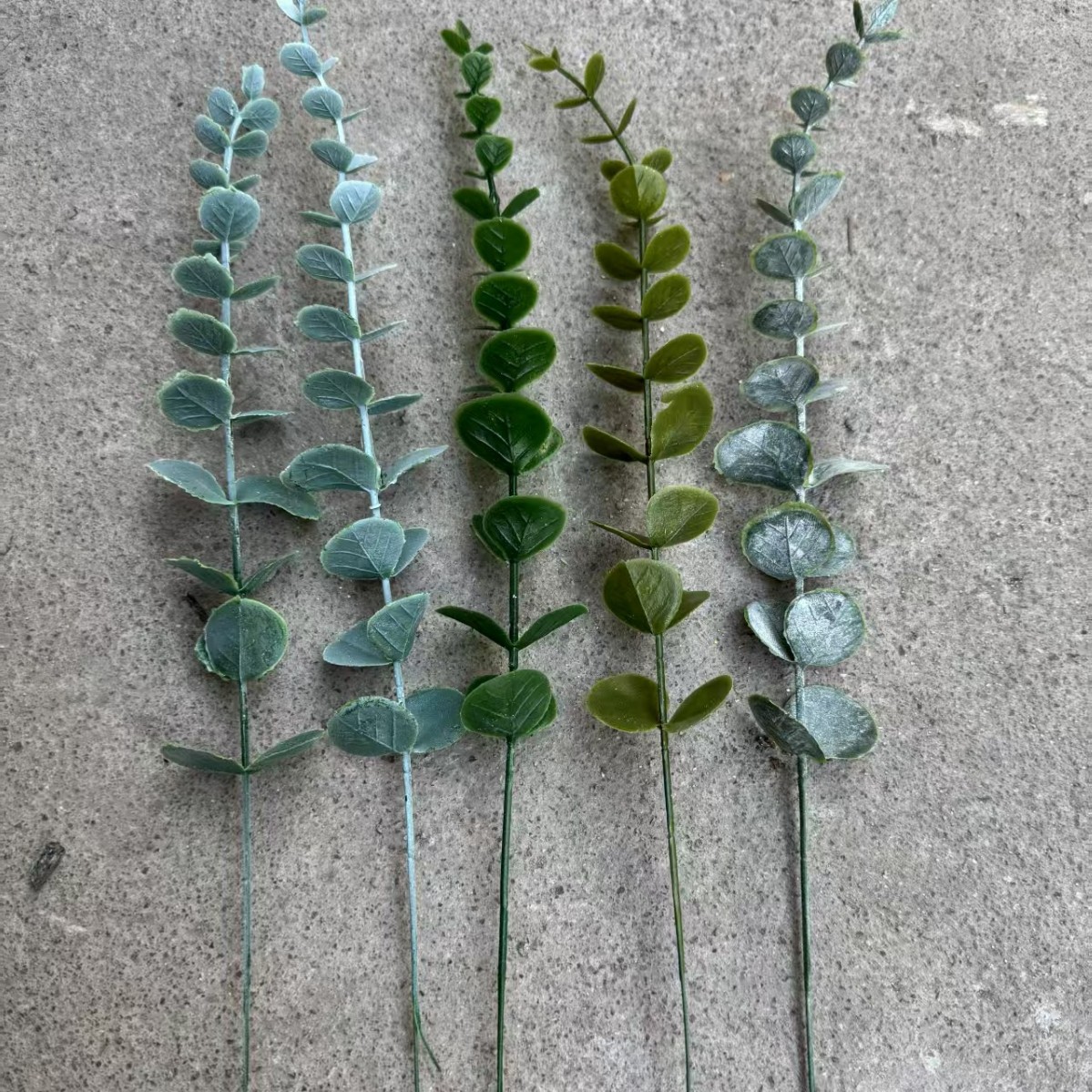 원하는 길이의 유칼립투스 한 조각