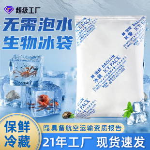 Gel Ice Bag Aviation Fresh-keeping Disposable Non-water Injection Cake Cold Compress Repeated Use Wholesale Biological Ice Bag