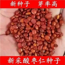 ²ᗗNӃᗗʷN ᗗ˷N ӷN  N