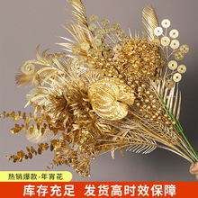 ��ɫ���滨�t���lؔ���ٻ��}�Q�����~�Ӷ������ɫ�������������l