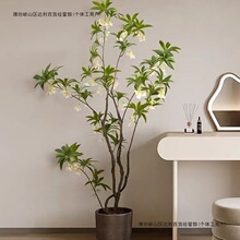 ���W����Gֲˮʯ�Ÿ߶��p����ֲ��͏d�����҃�����b����Ԕ[��