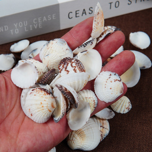 ��Ȼؐ����ɳؐ��ɫСؐ���ֹ�diy�����~���쾰�b��ղؘ˱��o��