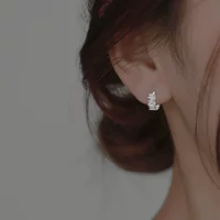 Серьги женские, медная основа с пластиной из циркония 3A, легкая роскошь европейский стиль, 4 мм ширина, Ø15 мм