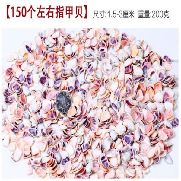 150 nail shells