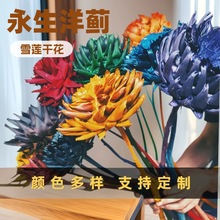 永生洋蓟雪莲干花抖音直播同款干花帝王花云南干花洋蓟现货批发