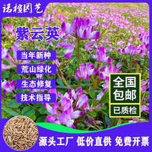 ���Ӣ�N�Ӽt���ݾG����Դ���ݼ����㶹�ϻ�����ޣ�ݰ����~�t���~