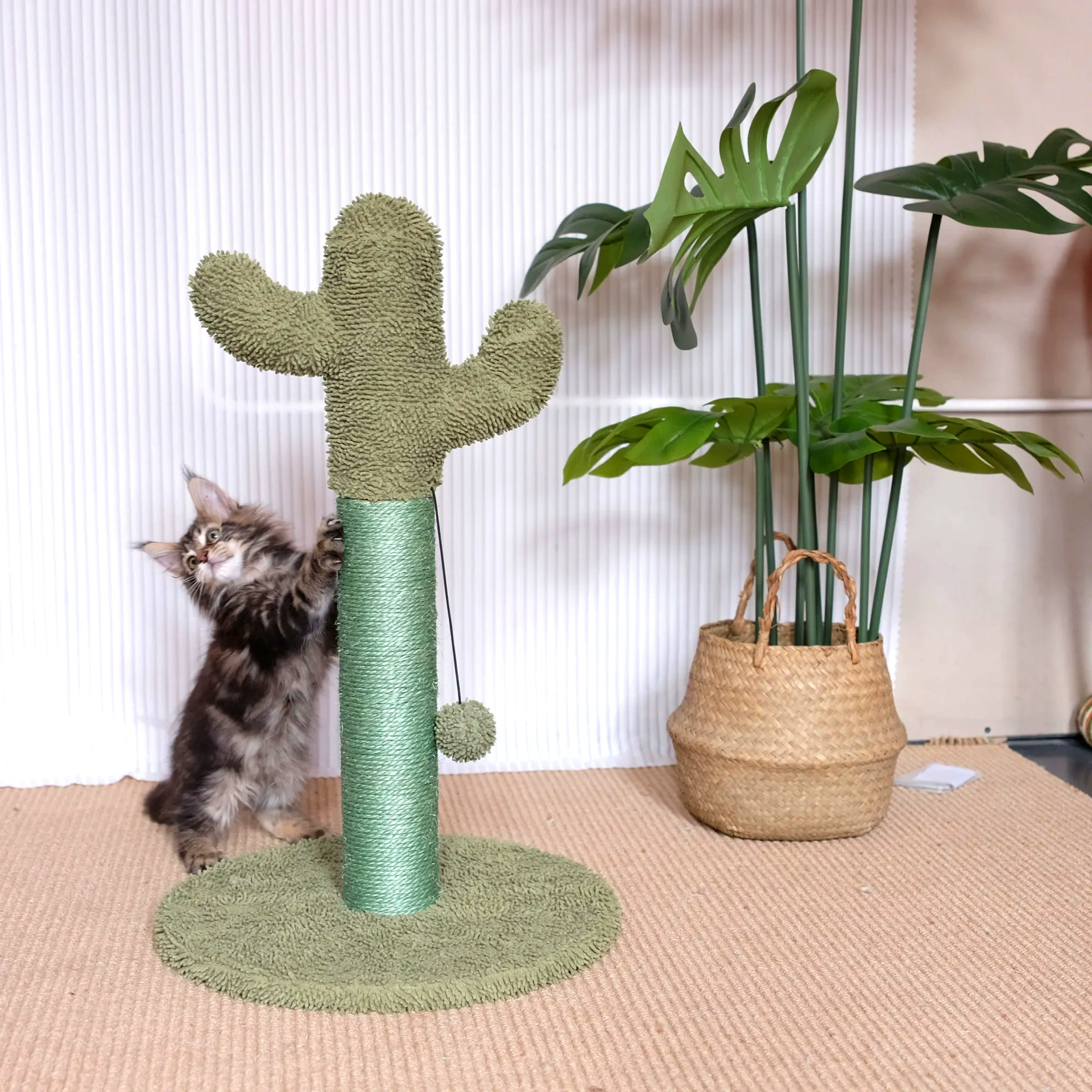 Climbing frame, toy, cactus, pet, Amazon