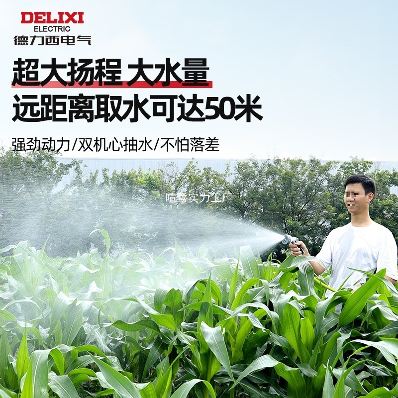 Delixi Electric 農村野菜畑の水やり充電式リチウム電池ポンプ農業灌漑屋外散水機|undefined