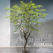 ������ë���~���R��ľ�҃ȼ٘�Gֲ�쾰�����b��쾰���͙���ֲ��