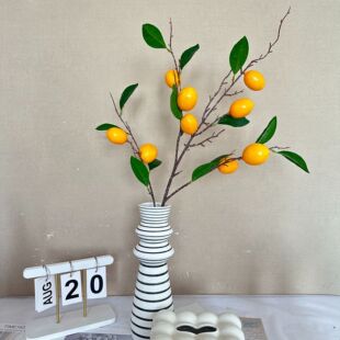 ���晎�ʹ�֦�Ҿ��b���ĭ�� ���왎�����յ��ߔ[�� ����ˮ�����l