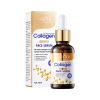 Collagen for skin care, moisturizing set, English, suitable for import, wholesale