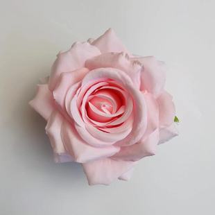 ë����оõ�廨�^�S�����l ���܇�^��õ�廨�����Ż��h�ػ��廨