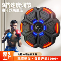 スマート音楽のボクシングマシンの壁の標的は家庭用のパンチトレーニング器材です。