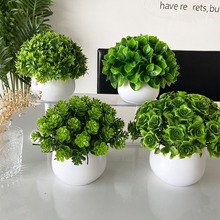 Gֲٻ辰͏d[[kbPƙƷ