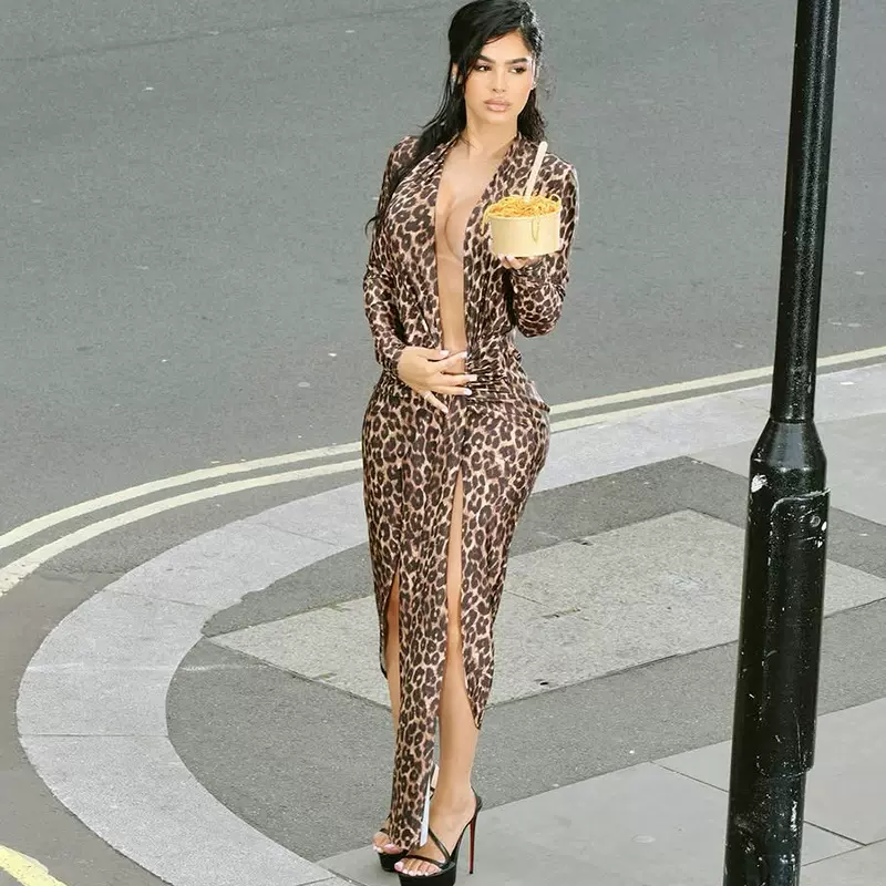 跨境欧美风2025夏季新款女装性感豹纹深V开叉褶皱收腰长袖连衣裙