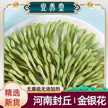 yϷyнqëڃxyɢblSֱNF؛