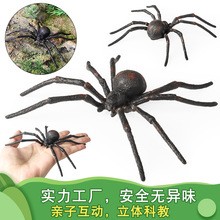 ���挍�����x����ģ�ͺڹыD֩��߿���������ρ��ͯ����J֪�[��