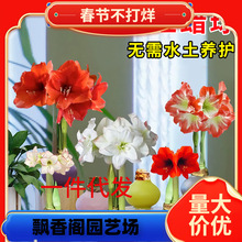 һ�����l��피tϞ���ذ�N���Ϟ������Y��Ӹ�ע���t�Y���b