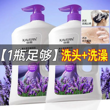 定 制【1瓶就够】洗发+沐浴二合一沐浴露持久留香洗发水控油止痒