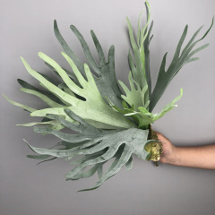 真似多肉植物の鹿の角の葉のトルコの葉の空気の草の生け花の吊り下げの壁掛けの熱帯の生態の組み合わせの造景