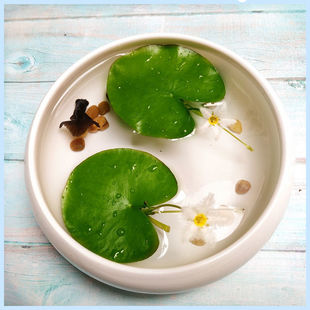 һ�~ɏˮ��ֲ�������ɏ˯ɏ�҃�ˮ�B�ɻ��ļ���Ƽ�~��ˮ��ɏ��