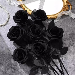 �����ɫ�͹�õ��ٻ����������f�}�����ؿ͏d�b[�O�Ĕz���߼�
